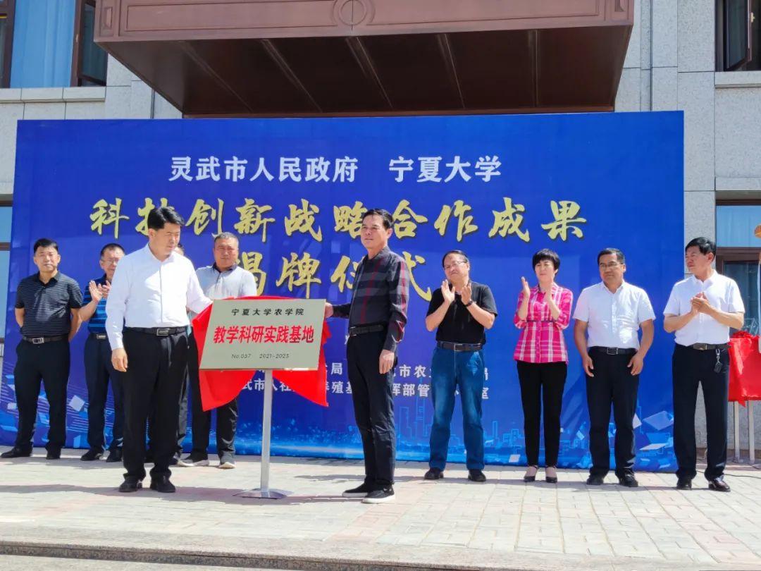 新澳資料免費,創(chuàng)新策略執(zhí)行_強勁版27.149