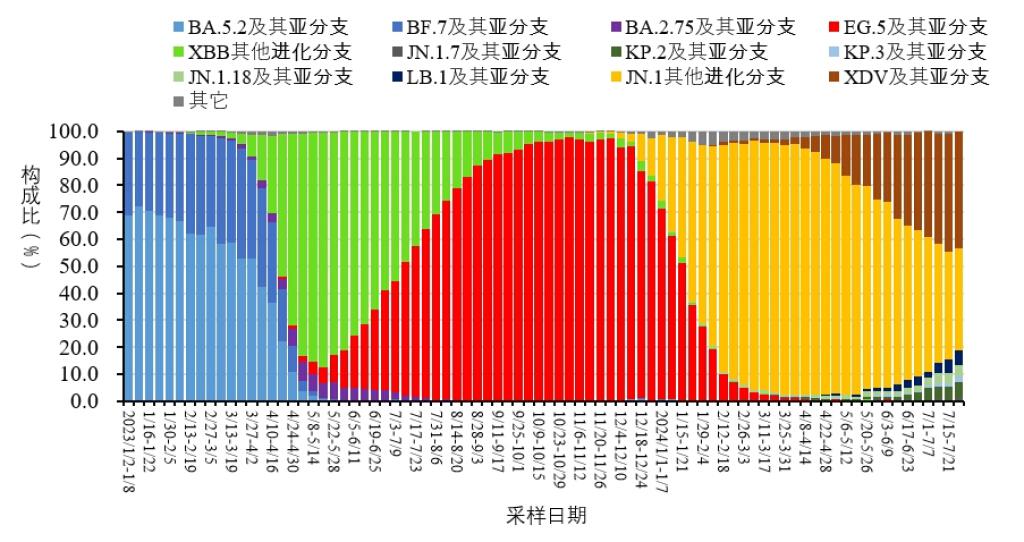 肺炎最新死亡數(shù)，自然與挑戰(zhàn)的雙重探索