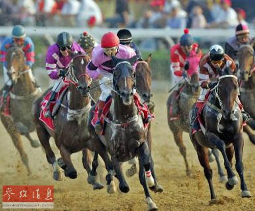 揭秘最新開馬資料，背景、重大事件與地位概述
