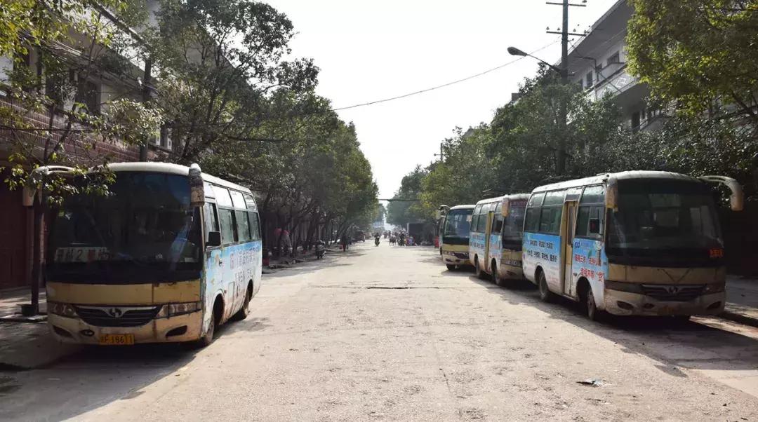 羅針最新動態(tài)，溫馨日常中的寶藏尋覓與珍貴友情之旅