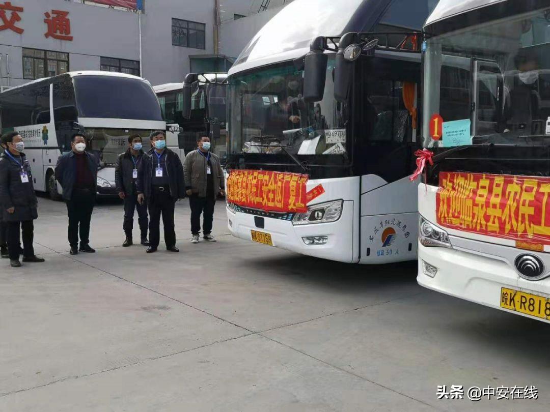 阜陽新冠病毒最新通告，詳細(xì)步驟指南了解與應(yīng)對新冠病毒