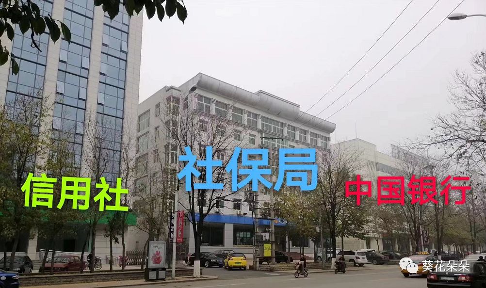 安子軒熱最新址,安子軒熱最新址，詳細步驟指南
