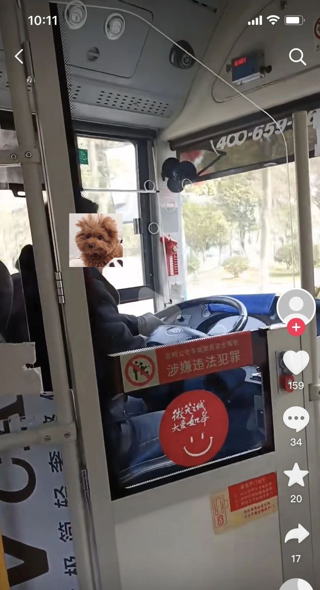 最新公交車司機視頻，展現(xiàn)城市一線風采的窗口故事