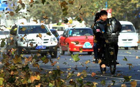 河北省最新大風(fēng)，多方觀點(diǎn)分析與個(gè)人立場(chǎng)闡述
