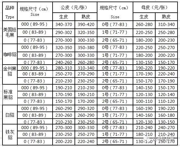 水貂最新價(jià)格行情揭秘，小巷深處的珍稀寶藏大解密