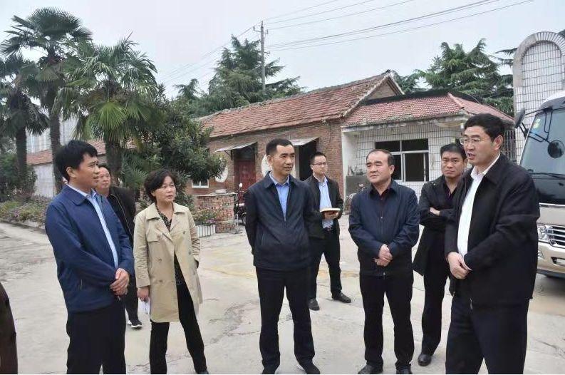亳州渦北新城最新動(dòng)態(tài)，日常趣事與情感紐帶，探尋新城魅力