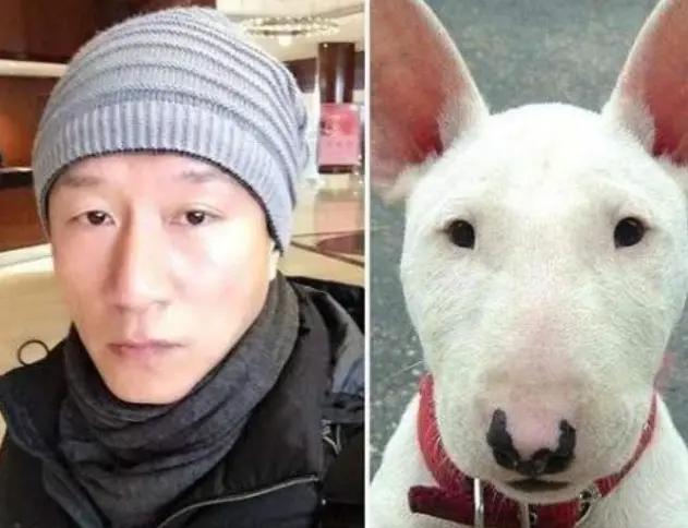 張的男明星,張的男明星，巷弄中的隱秘瑰寶