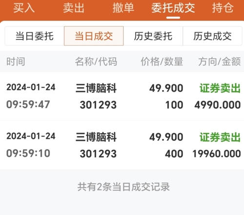 三博腦科股票，心靈與自然的交融之旅