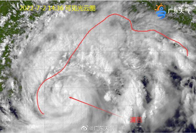 技術(shù)進(jìn)出口 第159頁