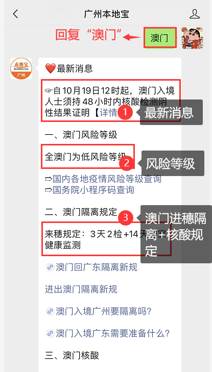 澳門網(wǎng)站資訊速遞，小城網(wǎng)絡(luò)情緣與家的溫馨連接