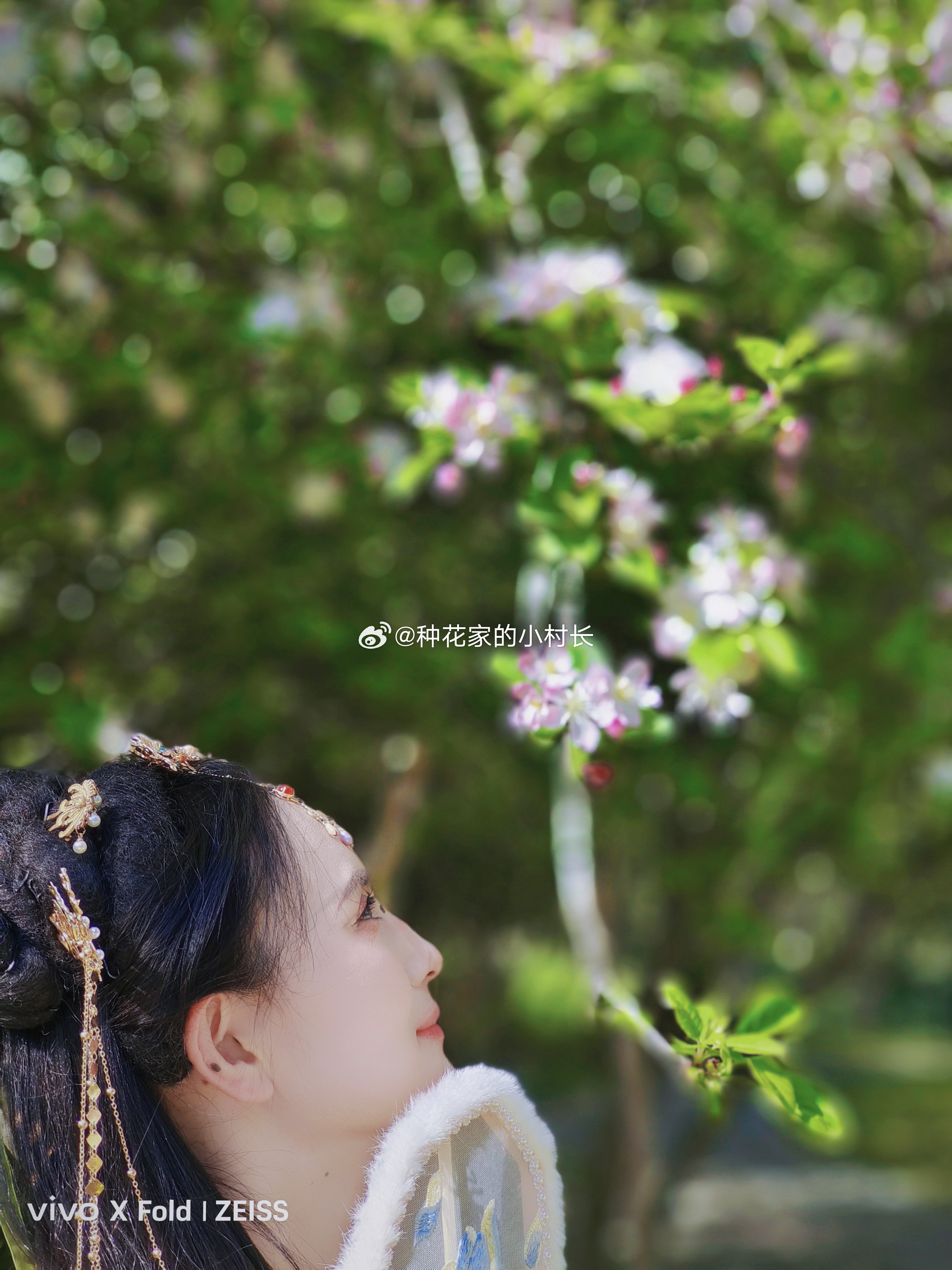 小草社區(qū)最新視頻展示，日常趣事與友情的溫馨畫卷