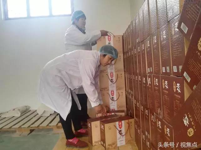 江蘇大麥價(jià)格動(dòng)態(tài)，變化中的機(jī)遇與挑戰(zhàn)的超越旅程
