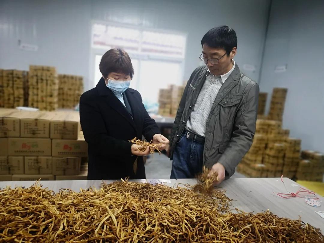揭秘全新版考證寶，你的智能學(xué)習(xí)伙伴