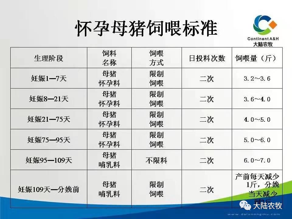 最新母豬飼料配方，探索時(shí)代背景下的影響與改良