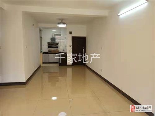 陸川最新租房信息深度解析及其影響