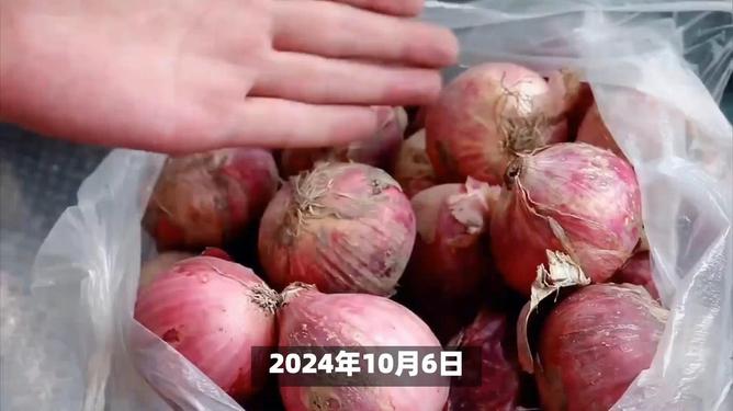 河南洋蔥最新行情解析，價格走勢獲取與分析指南