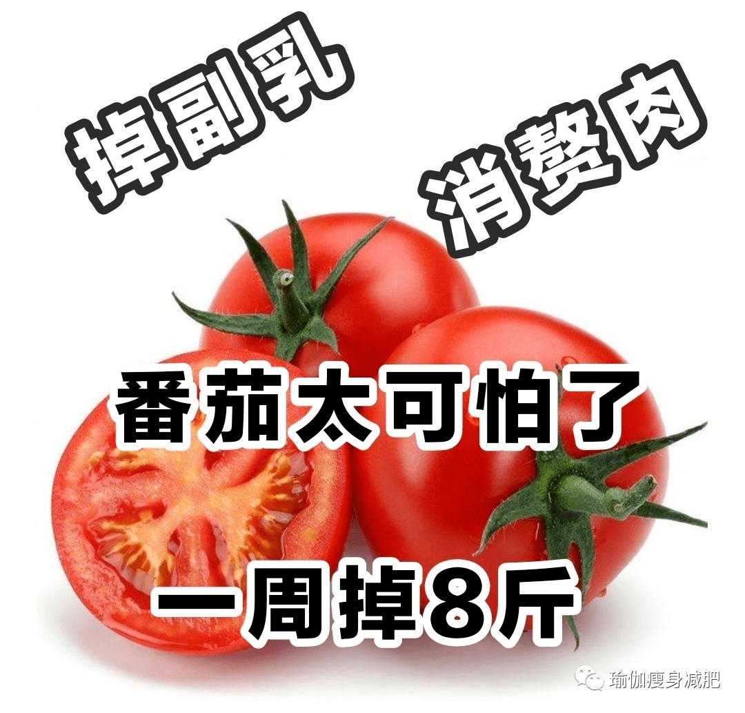 番茄最新鏈接,番茄最新鏈接，探索最新、最熱、最全的資源分享
