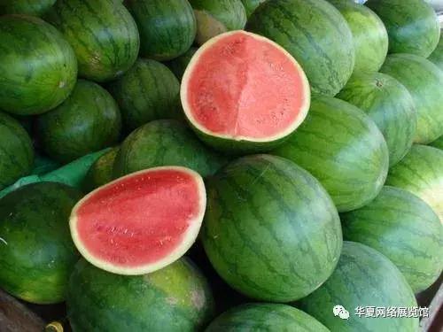 貴州西瓜最新行情揭秘，夏日甜蜜趣事與價(jià)格走勢(shì)