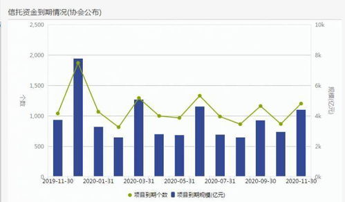 期貨公司最新規(guī)模排行榜，背后的故事與溫馨時刻