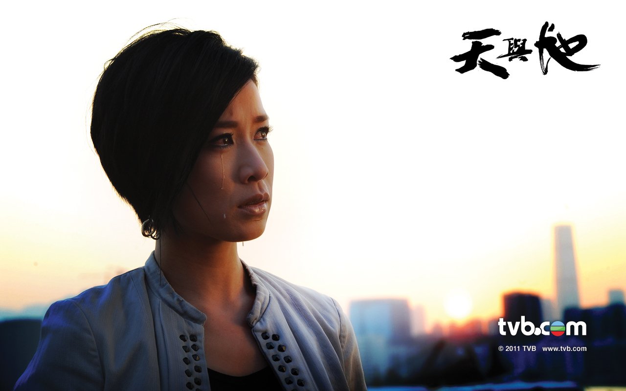 天與地深度解析角色與演技優(yōu)劣，演員表一覽