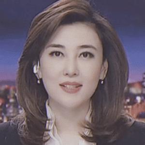 臺海新聞今日最新動態(tài)，小濤的溫馨日常故事報道