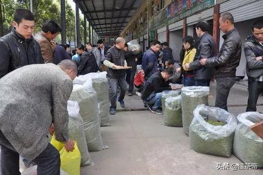 松陽疫情最新更新報告