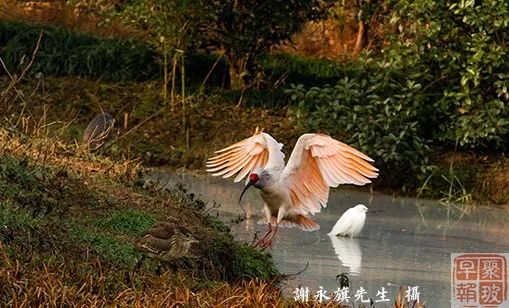 江門華爾潤，自然美景的探索之旅，尋覓內(nèi)心平和與寧靜的最新動態(tài)