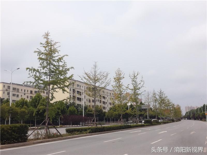 光武鎮(zhèn)最新道路規(guī)劃揭曉，打造現(xiàn)代化交通網(wǎng)絡(luò)新篇章