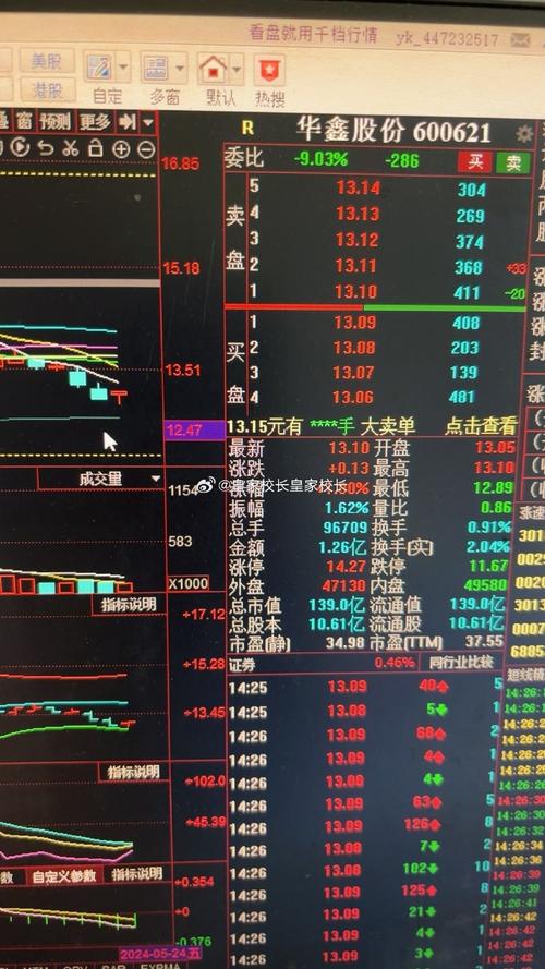 603660股票行情,603660股票行情，時(shí)代的印記與市場(chǎng)的脈搏