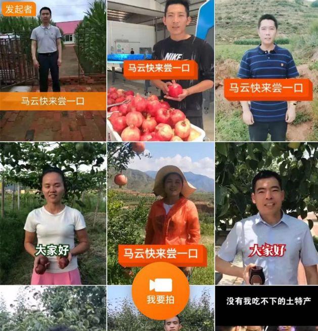 尋烏在線兼職招聘，走進自然，尋求內心平和與寧靜的職場新選擇