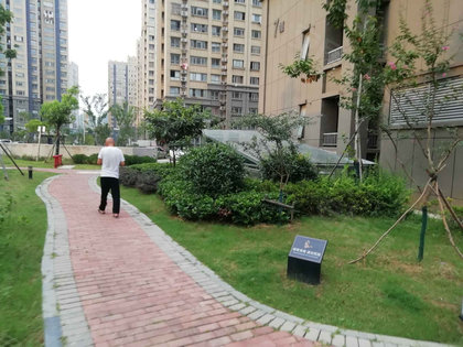 上坊新城資訊詳解，任務(wù)完成與技能學(xué)習(xí)指南