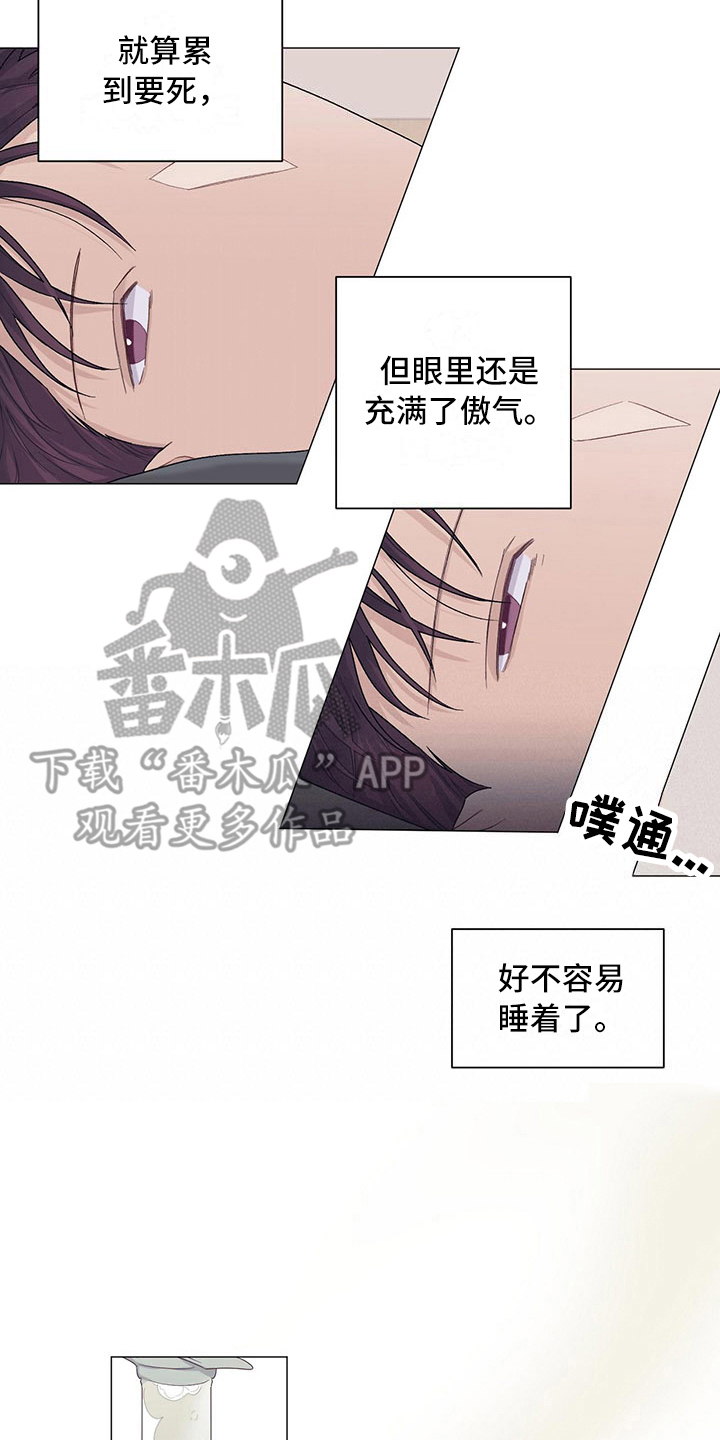 疼愛新篇章，情感深度解析