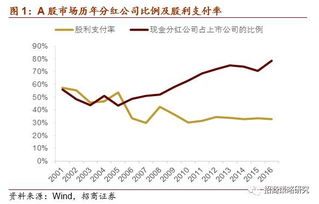 支付股票股利與小徑深處的獨(dú)特小店探秘揭秘
