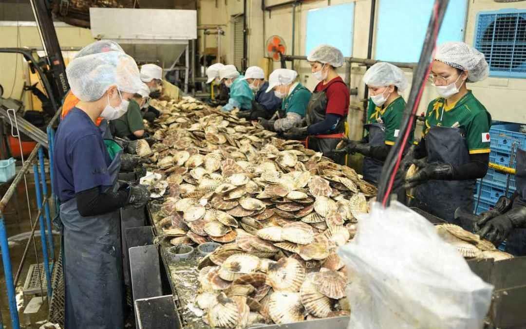 任性人口數(shù)據(jù)更新，時(shí)代變遷下的影響分析