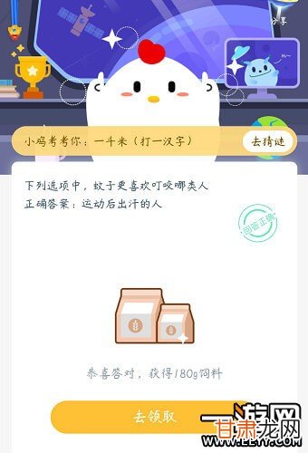 螞蟻莊園今日最新答案揭曉，愛與陪伴的溫馨小故事