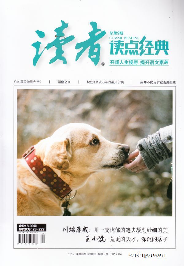 最新讀者精選在線閱讀，深度探討閱讀的魅力與意義