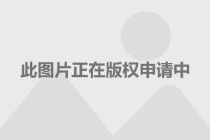 江西婺源最新資訊,江西婺源最新資訊，探索自然美景的旅行，尋找內(nèi)心的平和