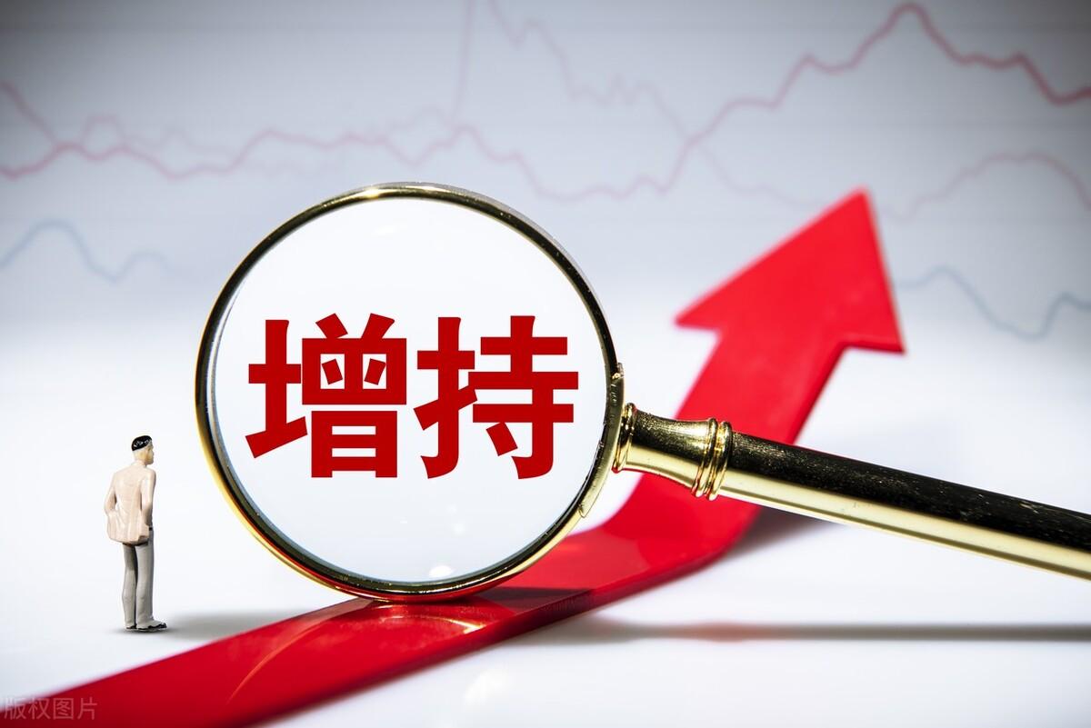 鋰電股票龍頭股深度解析與觀(guān)點(diǎn)闡述