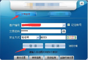 怎么查股票賬戶,如何查股票賬戶，一段溫馨有趣的探索之旅
