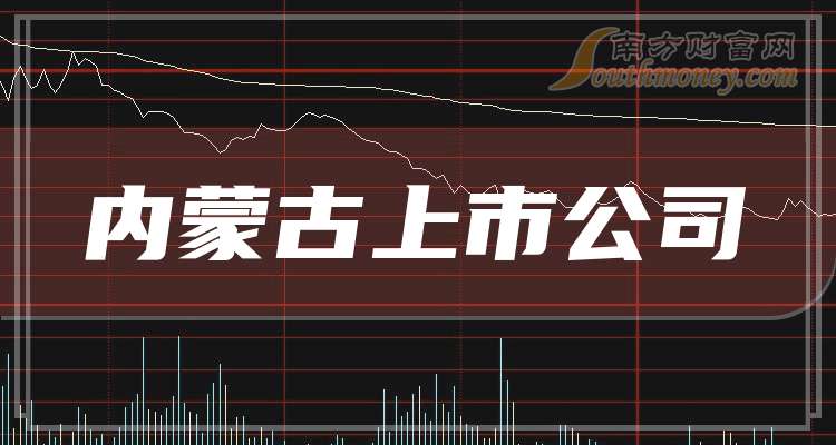呼市上市公司,呼市上市公司，繁榮的資本市場(chǎng)焦點(diǎn)