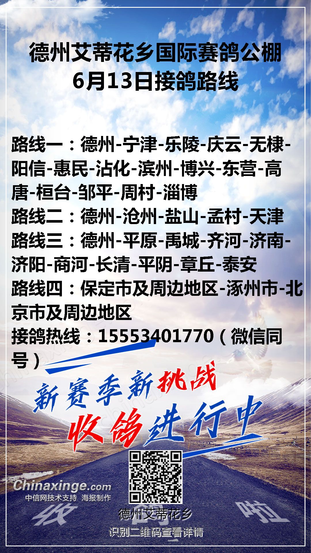 文德賽鴿公棚最新通告，賽鴿活動(dòng)參與指南