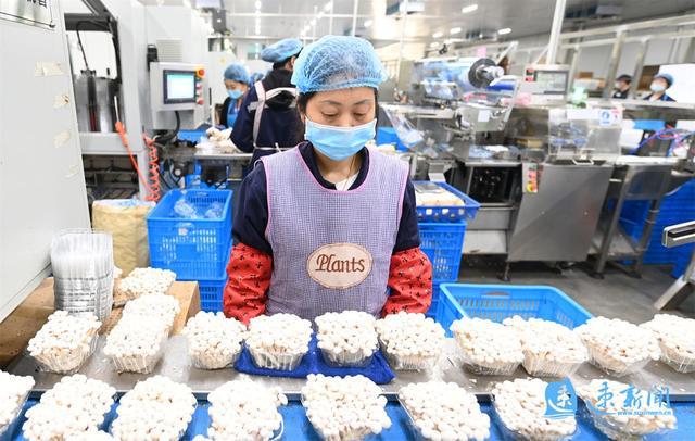 菌界新紀元，食用菌上市公司高科技產(chǎn)品重磅推出