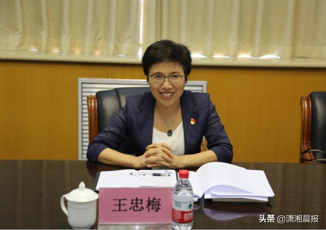 中原清風最新資訊概覽