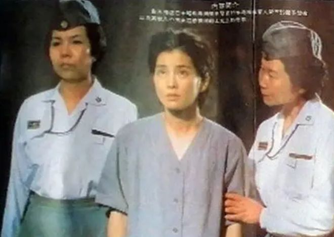 日本理論電影，自然美景的心靈之旅探索