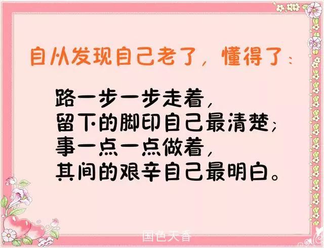 探索文字魅力世界，最新美文佳句賞析
