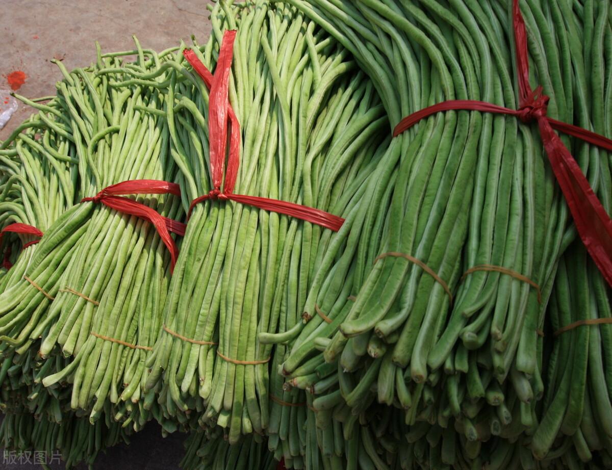 香菜價格實時更新，最新動態(tài)與走勢分析