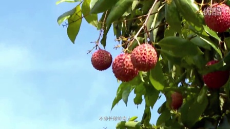 三原新鮮資訊，變化中的學(xué)習(xí)之旅，自信與成就感的源泉