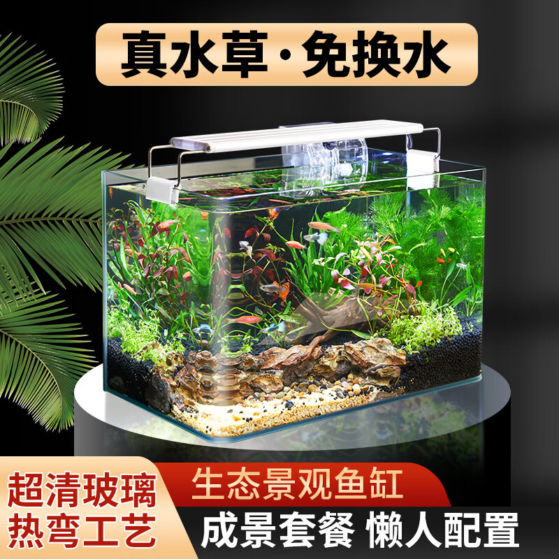 未來水族藝術(shù)探索，揭秘2025年最新款魚缸的獨(dú)特魅力