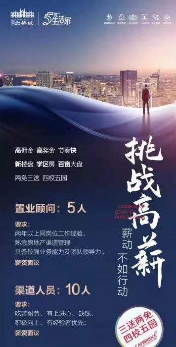 咸海招聘信息，職業(yè)發(fā)展的理想舞臺探索