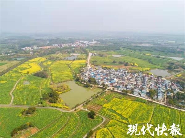 花海視頻更新，內(nèi)容、用戶與時(shí)代的完美融合